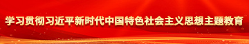 可以看女生jj的软件学习贯彻习近平新时代中国特色社会主义思想主题教育